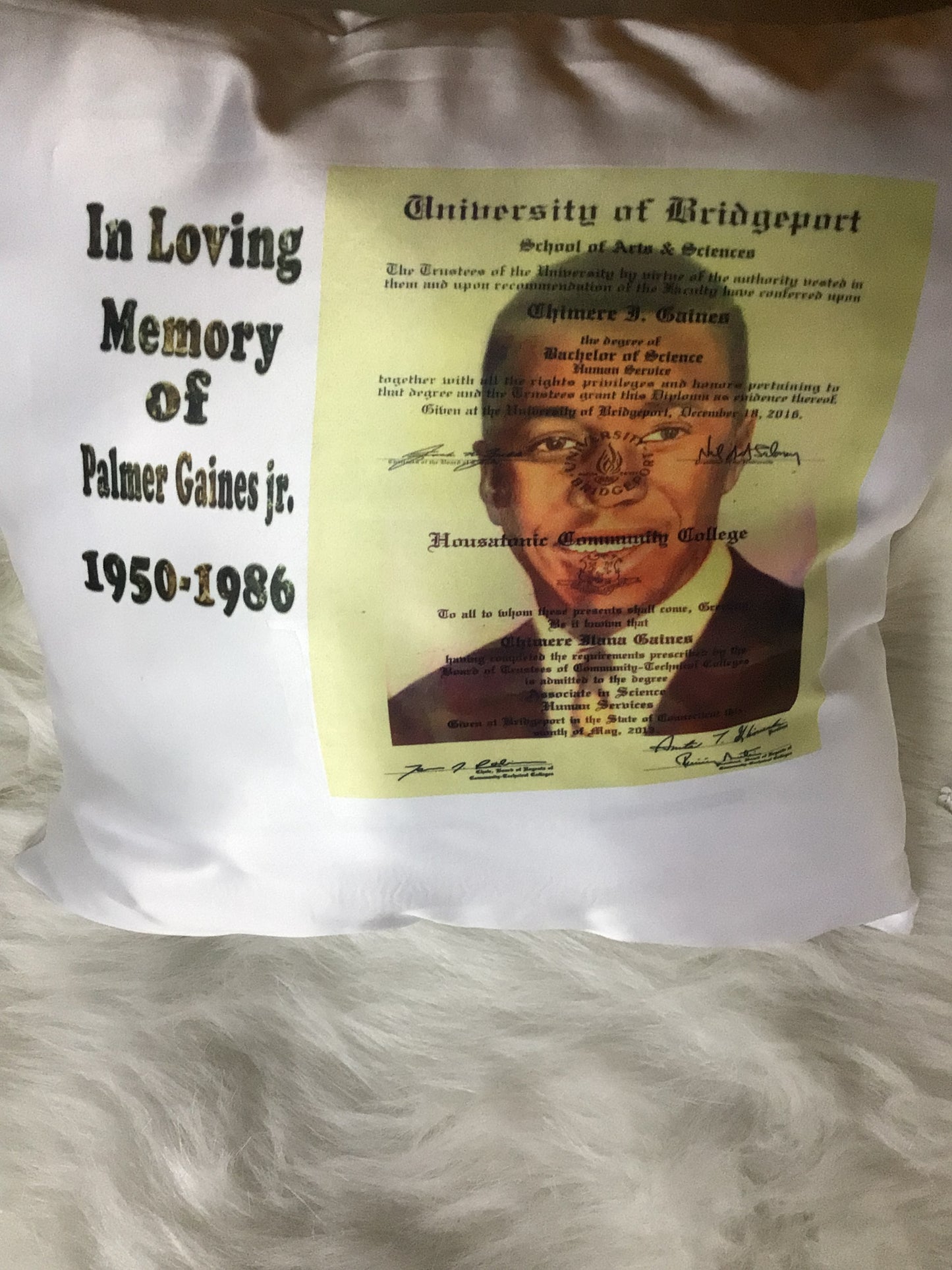 Custom Satin throw Pillows